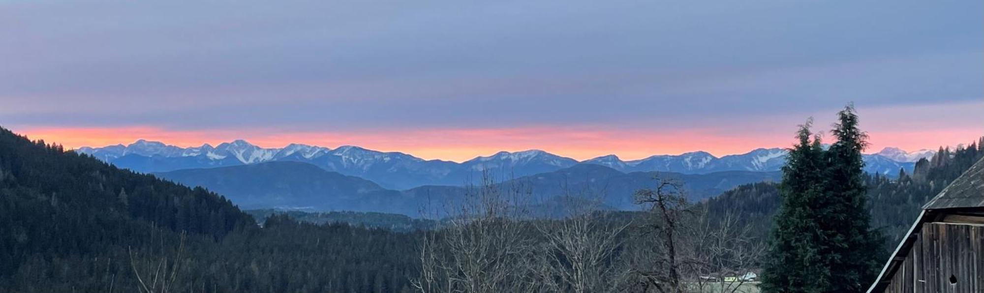 Little Farm Apartments Feldkirchen in Kärnten Екстериор снимка