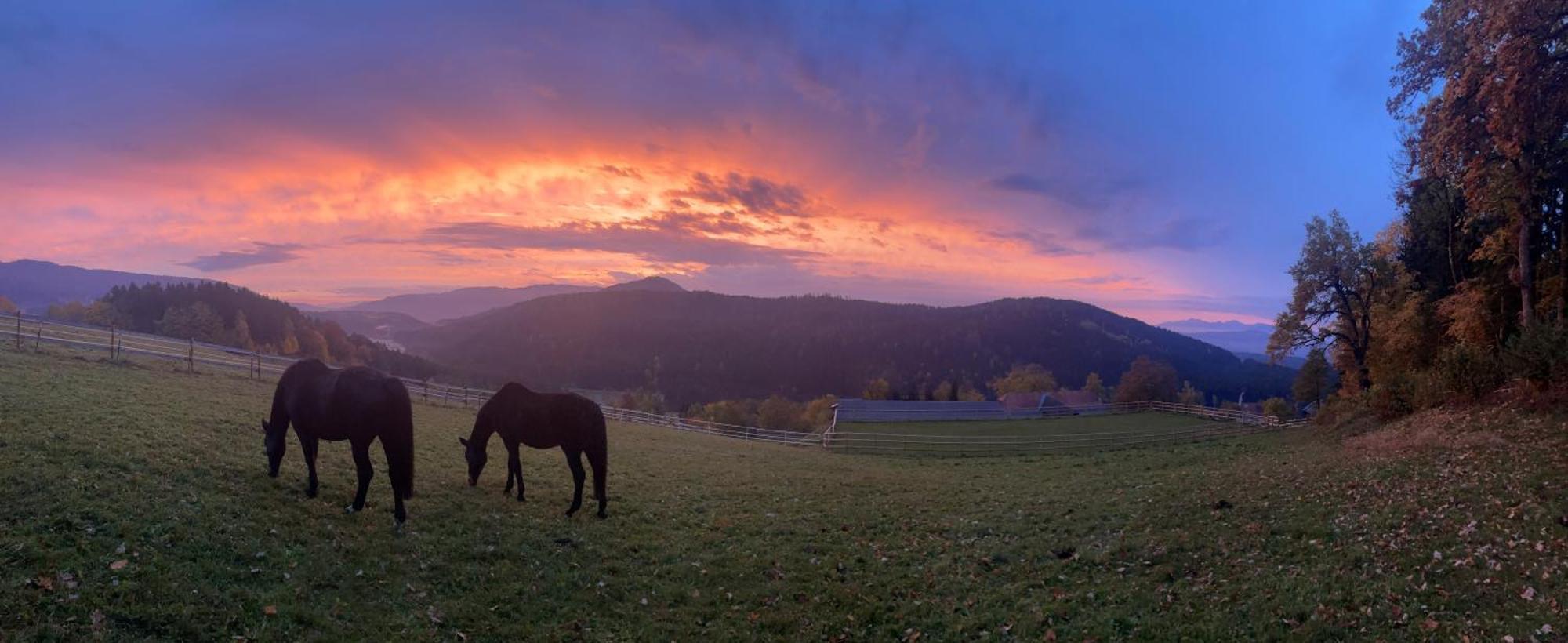 Little Farm Apartments Feldkirchen in Kärnten Екстериор снимка