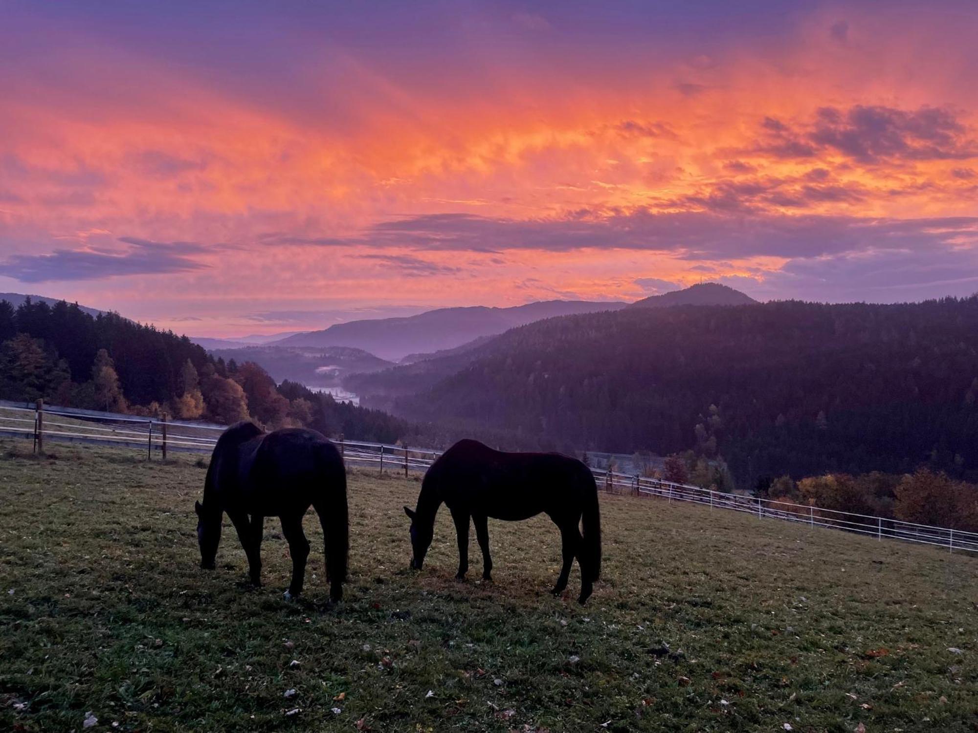 Little Farm Apartments Feldkirchen in Kärnten Екстериор снимка